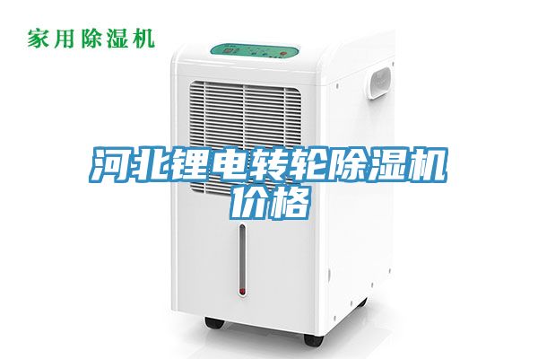 河北鋰電轉輪91看片软件大全價格
