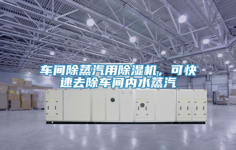 車間除蒸汽用91看片软件大全，可快速去除車間內水蒸汽
