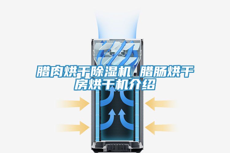 臘肉烘幹91看片软件大全 臘腸烘幹房烘幹機介紹