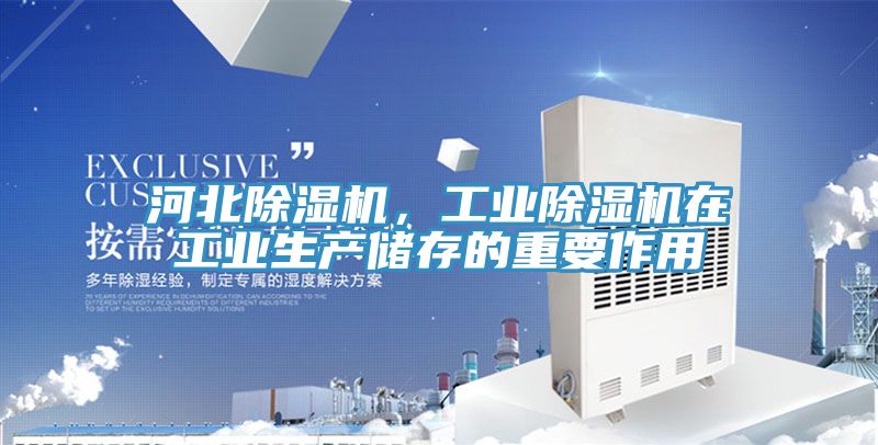 河北91看片软件大全，工業91看片软件大全在工業生產儲存的重要作用