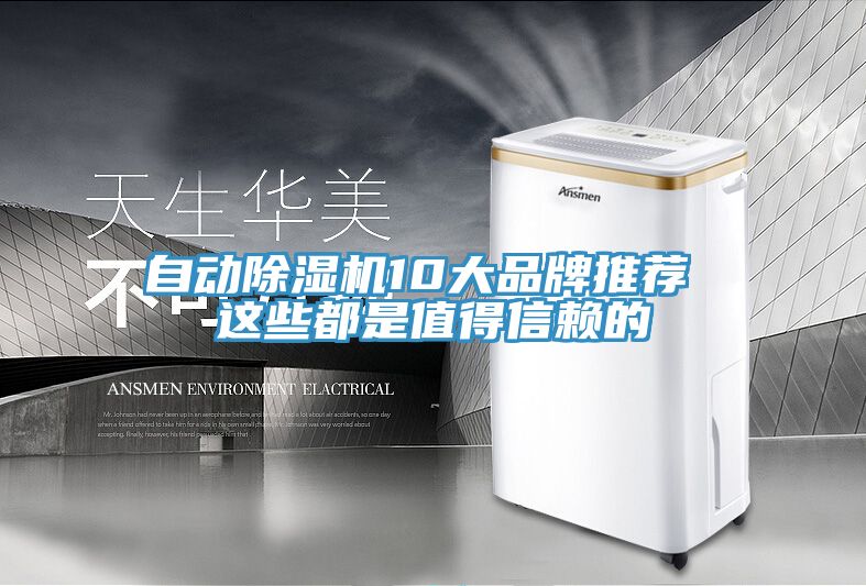 自動91看片软件大全10大品牌推薦 這些都是值得信賴的