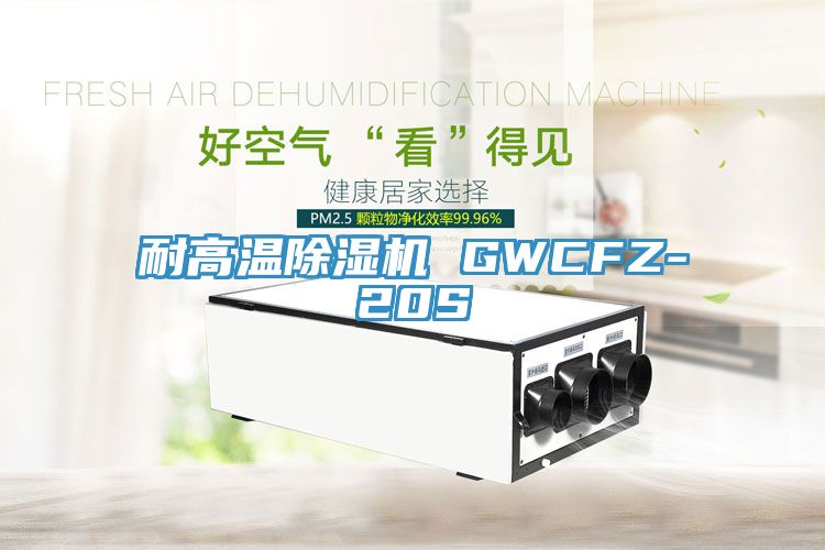 耐高溫91看片软件大全 GWCFZ-20S