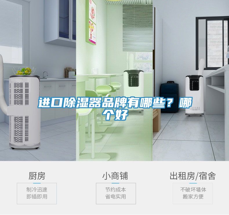 進口除濕器品牌有哪些？哪個好