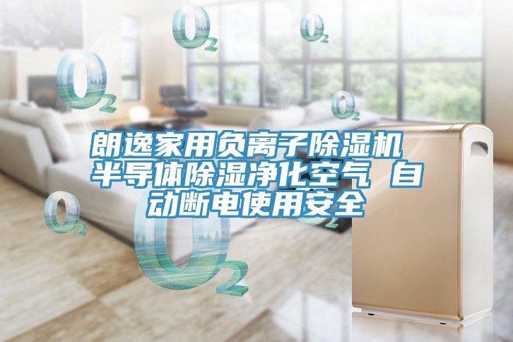 朗逸家用負離子91看片软件大全 半導體除濕淨化空氣 自動斷電使用安全
