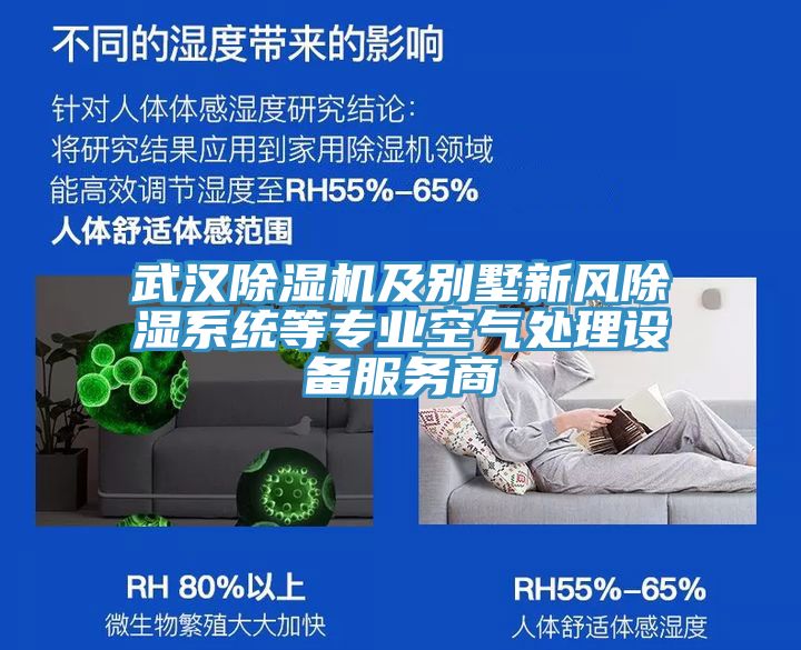 武漢91看片软件大全及別墅新風除濕係統等專業空氣處理設備服務商