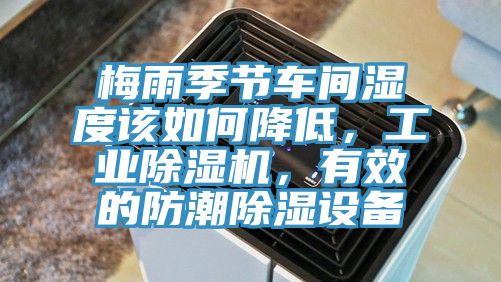 梅雨季節車間濕度該如何降低，工業91看片软件大全，有效的防潮除濕設備