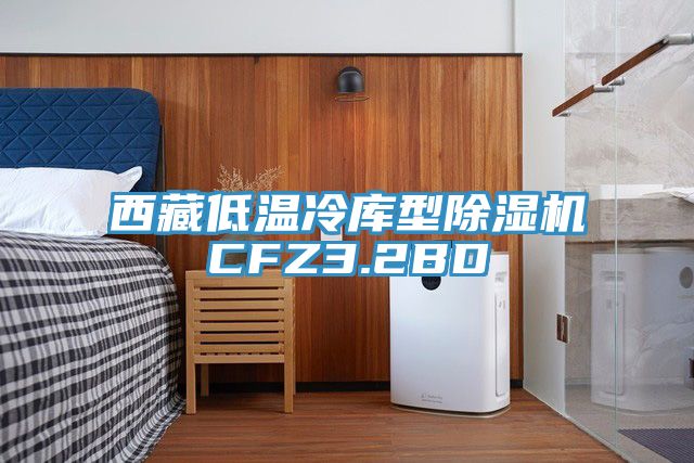 西藏低溫冷庫型91看片软件大全CFZ3.2BD