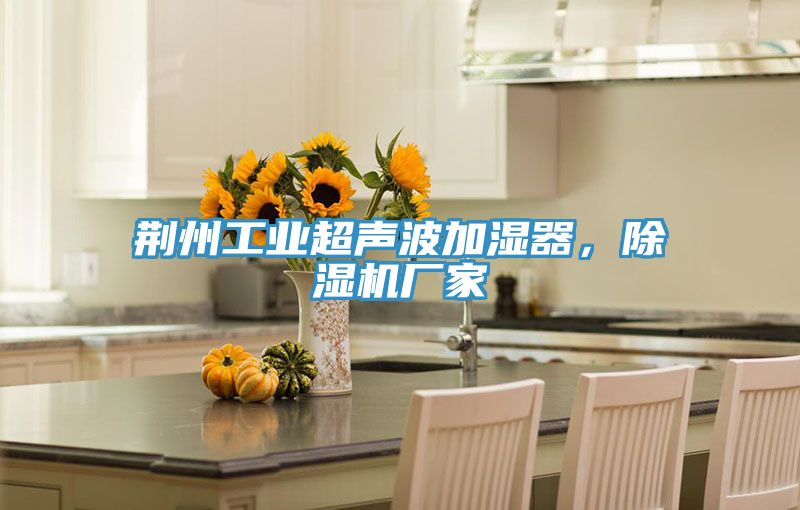荊州工業超聲波加濕器，91看片软件大全廠家