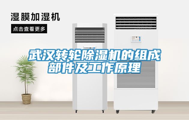 武漢轉輪91看片软件大全的組成部件及工作原理