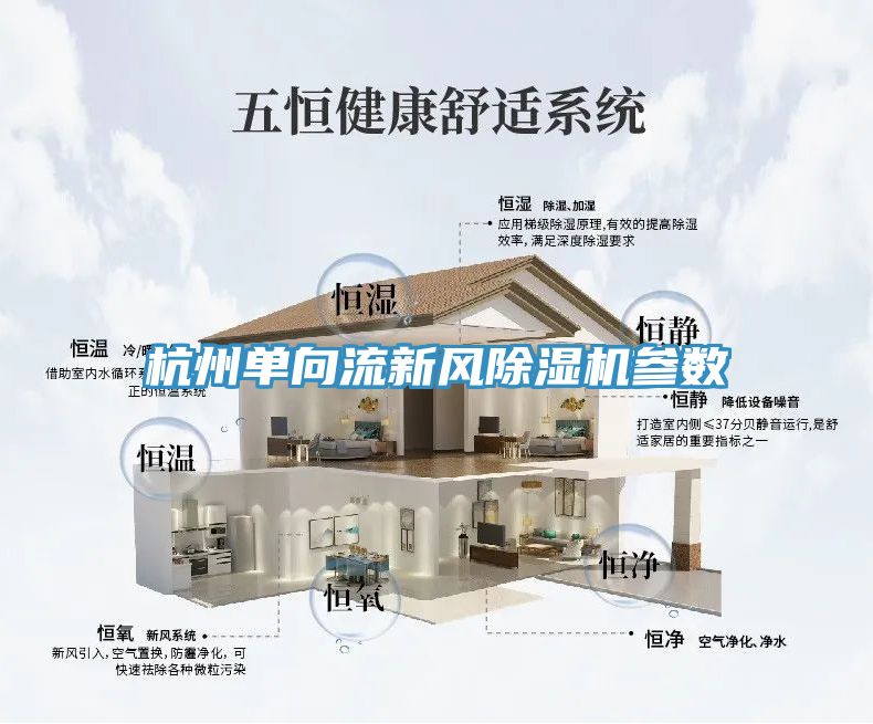杭州單向流新風91看片软件大全參數