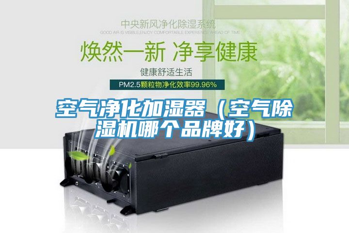空氣淨化加濕器（空氣91看片软件大全哪個品牌好）