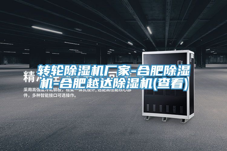 轉輪91看片软件大全廠家-合肥91看片软件大全-合肥越達91看片软件大全(查看)