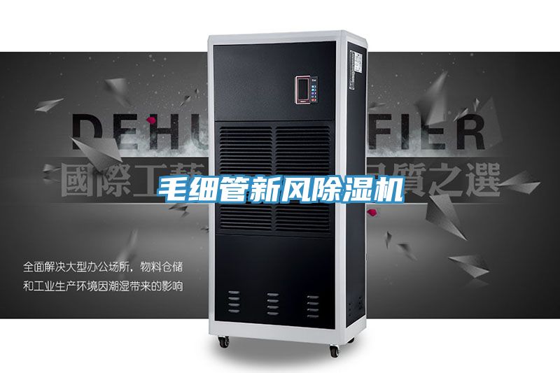 毛細管新風91看片软件大全