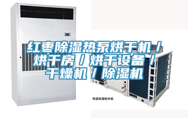 紅棗除濕熱泵烘幹機／烘幹房／烘幹設備／幹燥機／91看片软件大全