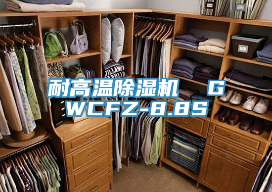耐高溫91看片软件大全  GWCFZ-8.8S