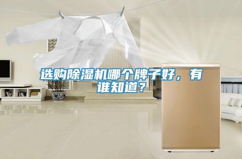 選購91看片软件大全哪個牌子好，有誰知道？