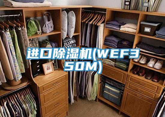 進口91看片软件大全(WEF350M)