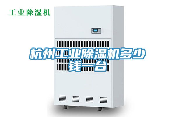 杭州工業91看片软件大全多少錢一台
