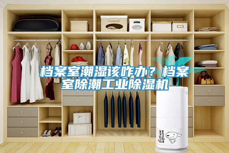 檔案室潮濕該咋辦？檔案室除潮工業91看片软件大全