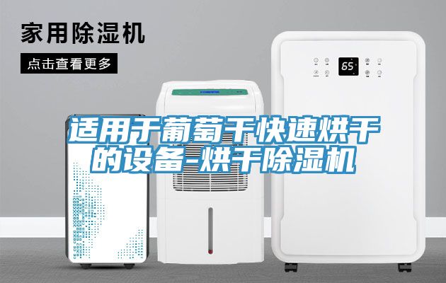 適用於葡萄幹快速烘幹的設備-烘幹91看片软件大全