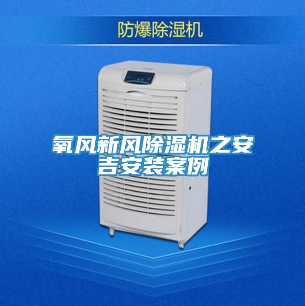 氧風新風91看片软件大全之安吉安裝案例