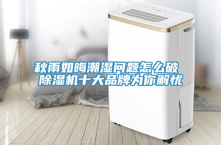 秋雨如晦潮濕問題怎麽破 91看片软件大全十大品牌為你解憂