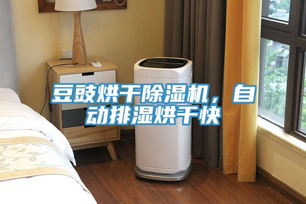 豆豉烘幹91看片软件大全，自動排濕烘幹快