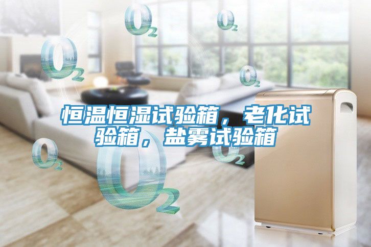 恒溫恒濕試驗箱，老化試驗箱，鹽霧試驗箱