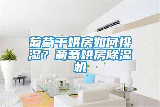 葡萄幹烘房如何排濕？葡萄烘房91看片软件大全