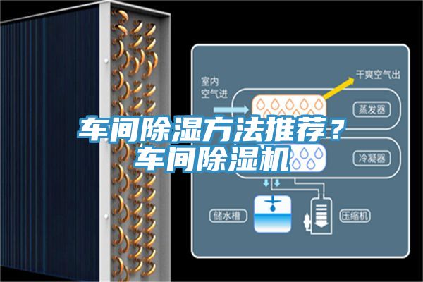 車間除濕方法推薦？車間91看片软件大全