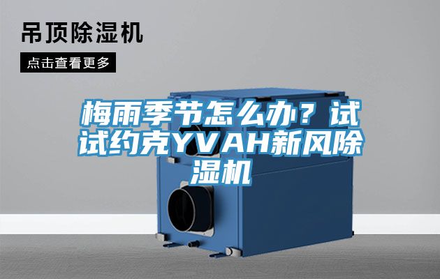 梅雨季節怎麽辦？試試約克YVAH新風91看片软件大全