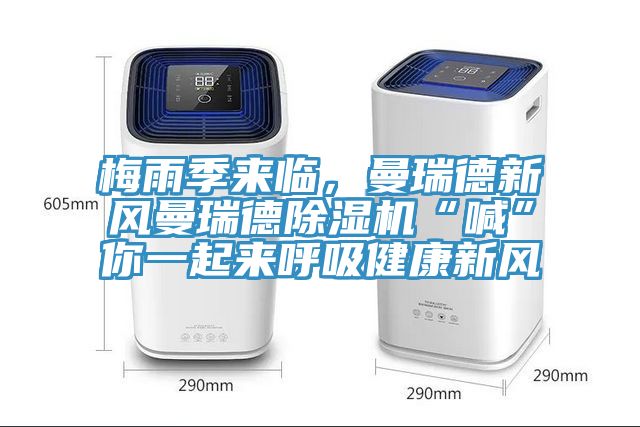 梅雨季來臨，曼瑞德新風曼瑞德91看片软件大全“喊”你一起來呼吸健康新風