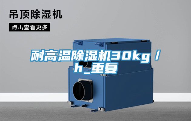 耐高溫91看片软件大全30kg／h_重複