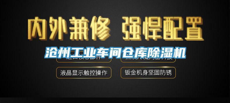 滄州工業車間倉庫91看片软件大全