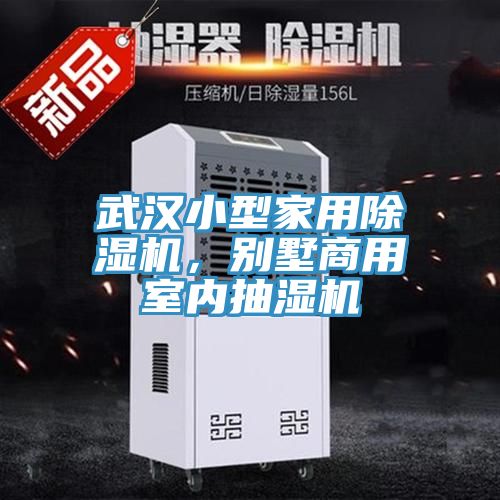 武漢小型家用91看片软件大全，別墅商用室內抽濕機