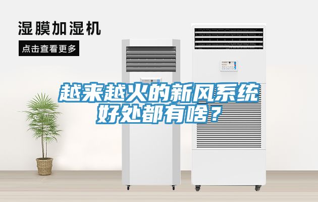 越來越火的新風係統好處都有啥？