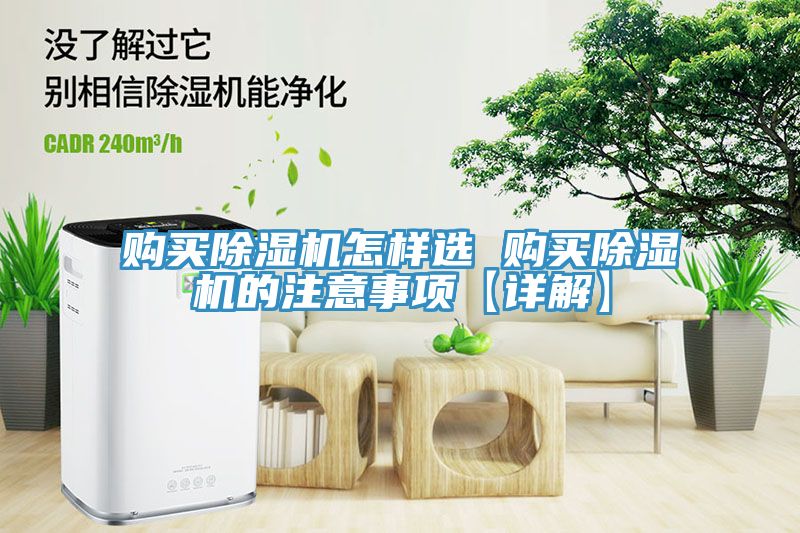 購買91看片软件大全怎樣選 購買91看片软件大全的注意事項【詳解】