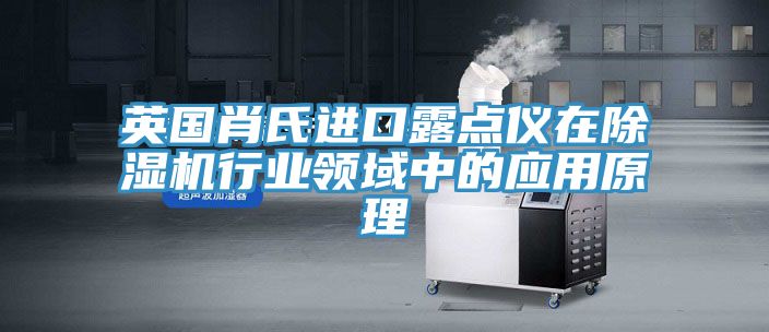 英國肖氏進口露點儀在91看片软件大全行業領域中的應用原理