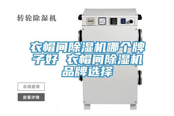 衣帽間91看片软件大全哪個牌子好 衣帽間91看片软件大全品牌選擇