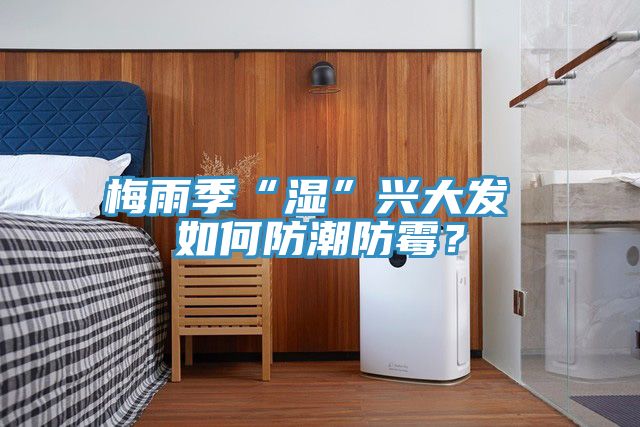 梅雨季“濕”興大發 如何防潮防黴？
