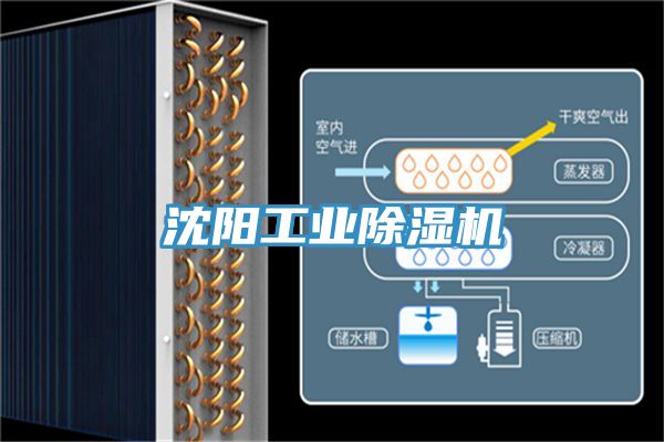 沈陽工業91看片软件大全