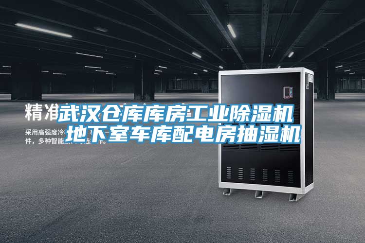 武漢倉庫庫房工業91看片软件大全 地下室車庫配電房抽濕機