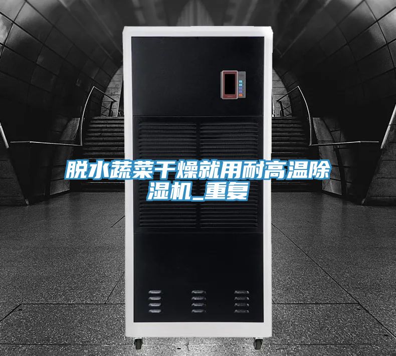 脫水蔬菜幹燥就用耐高溫91看片软件大全_重複