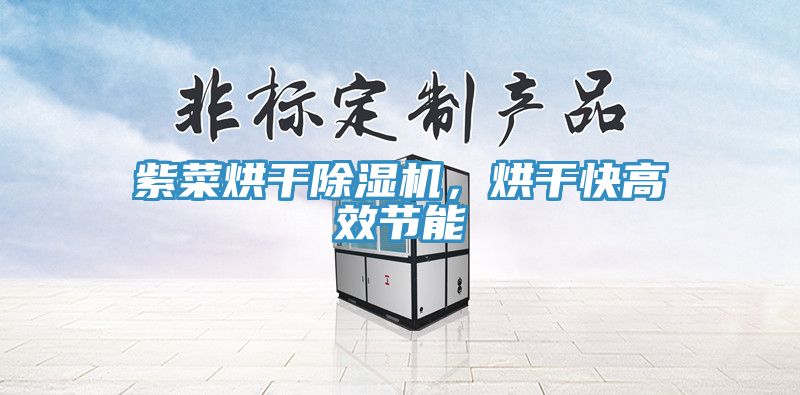 紫菜烘幹91看片软件大全，烘幹快高效節能