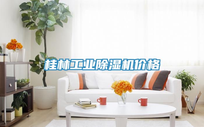 桂林工業91看片软件大全價格