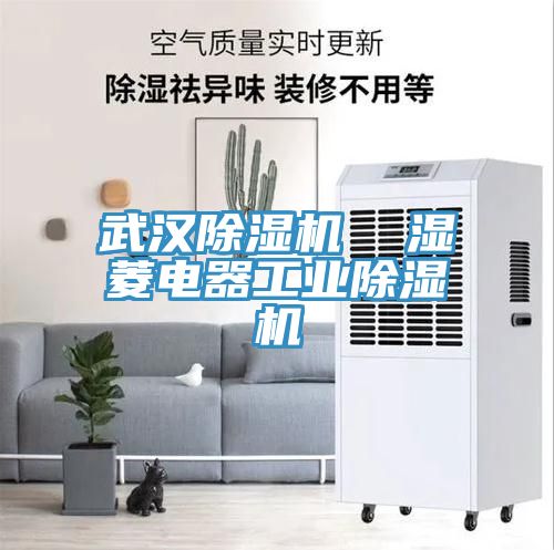 武漢91看片软件大全  濕菱電器工業91看片软件大全