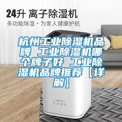 杭州工業91看片软件大全品牌 工業91看片软件大全哪個牌子好 工業91看片软件大全品牌推薦【詳解】