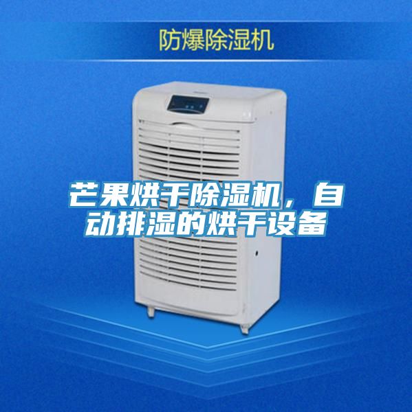 芒果烘幹91看片软件大全，自動排濕的烘幹設備