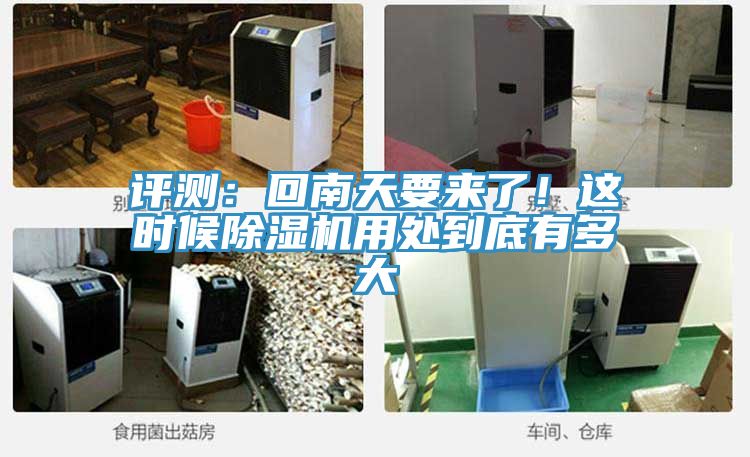 評測：回南天要來了！這時候91看片软件大全用處到底有多大
