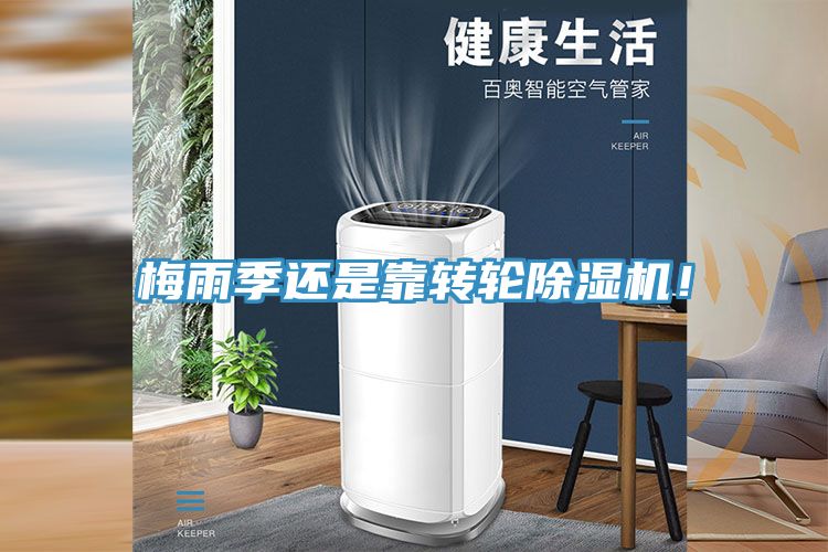 梅雨季還是靠轉輪91看片软件大全！